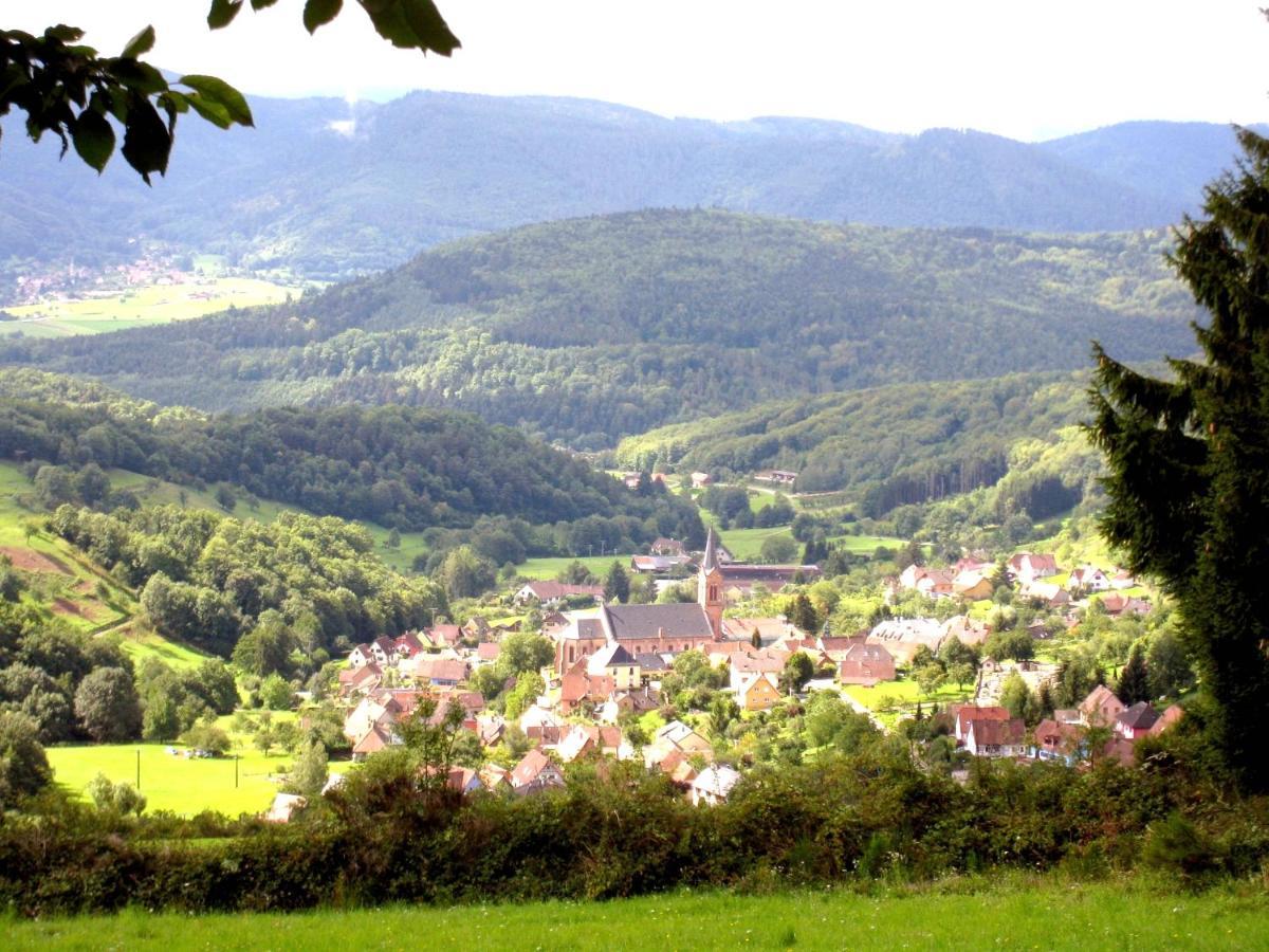 Maison d'hôtes La Cerisaie Breitenbach Extérieur photo