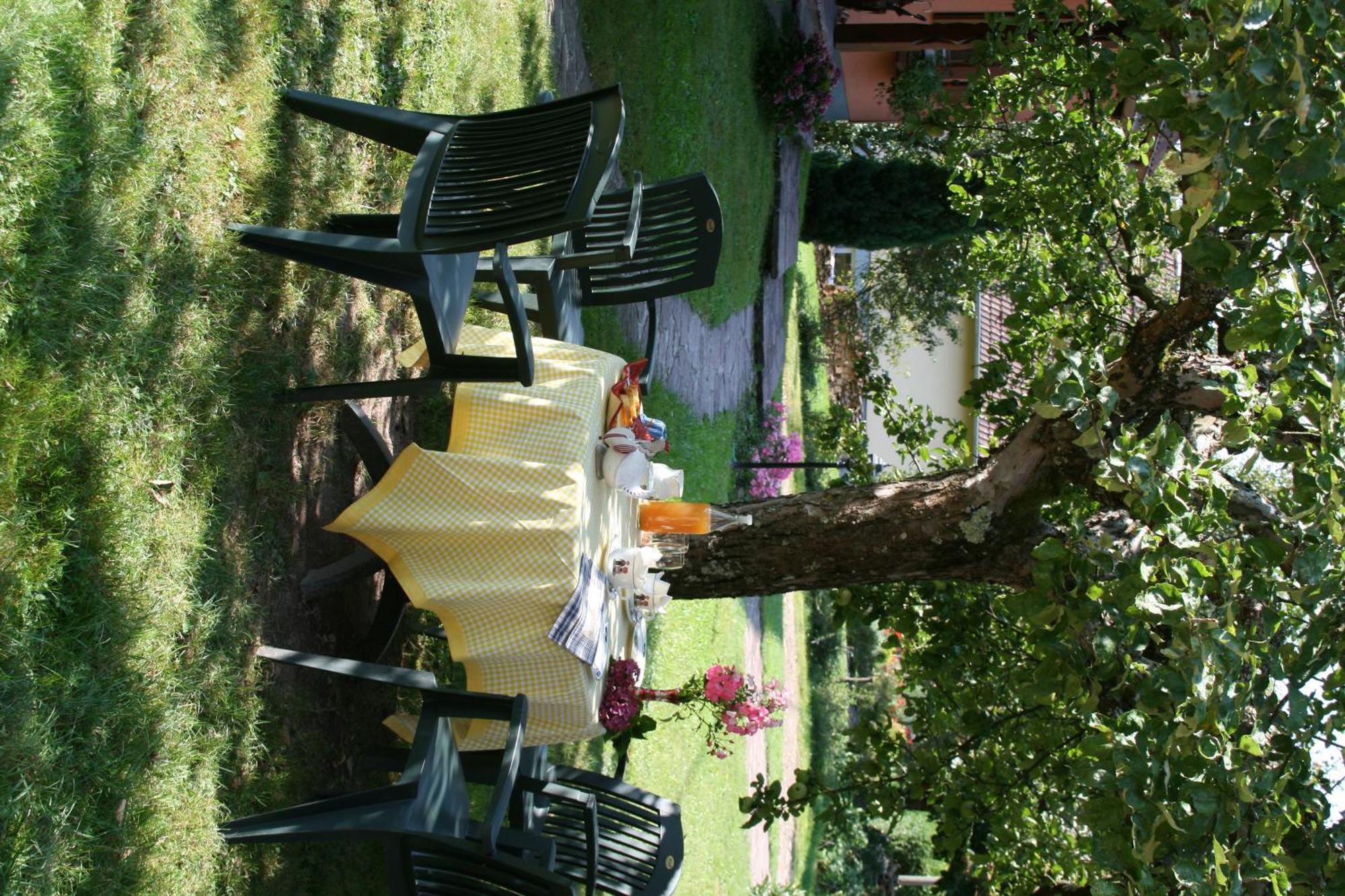 Maison d'hôtes La Cerisaie Breitenbach Extérieur photo